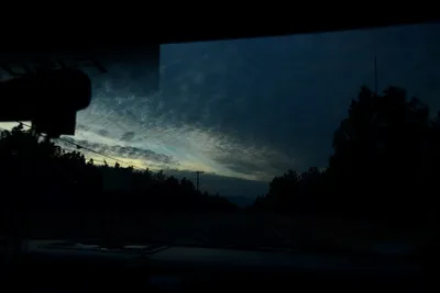 DSC_3115 (Large).JPG